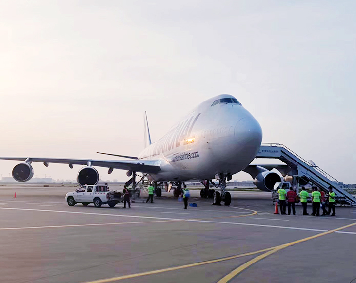 Que tipo de carga pode ser transportada por via aérea?